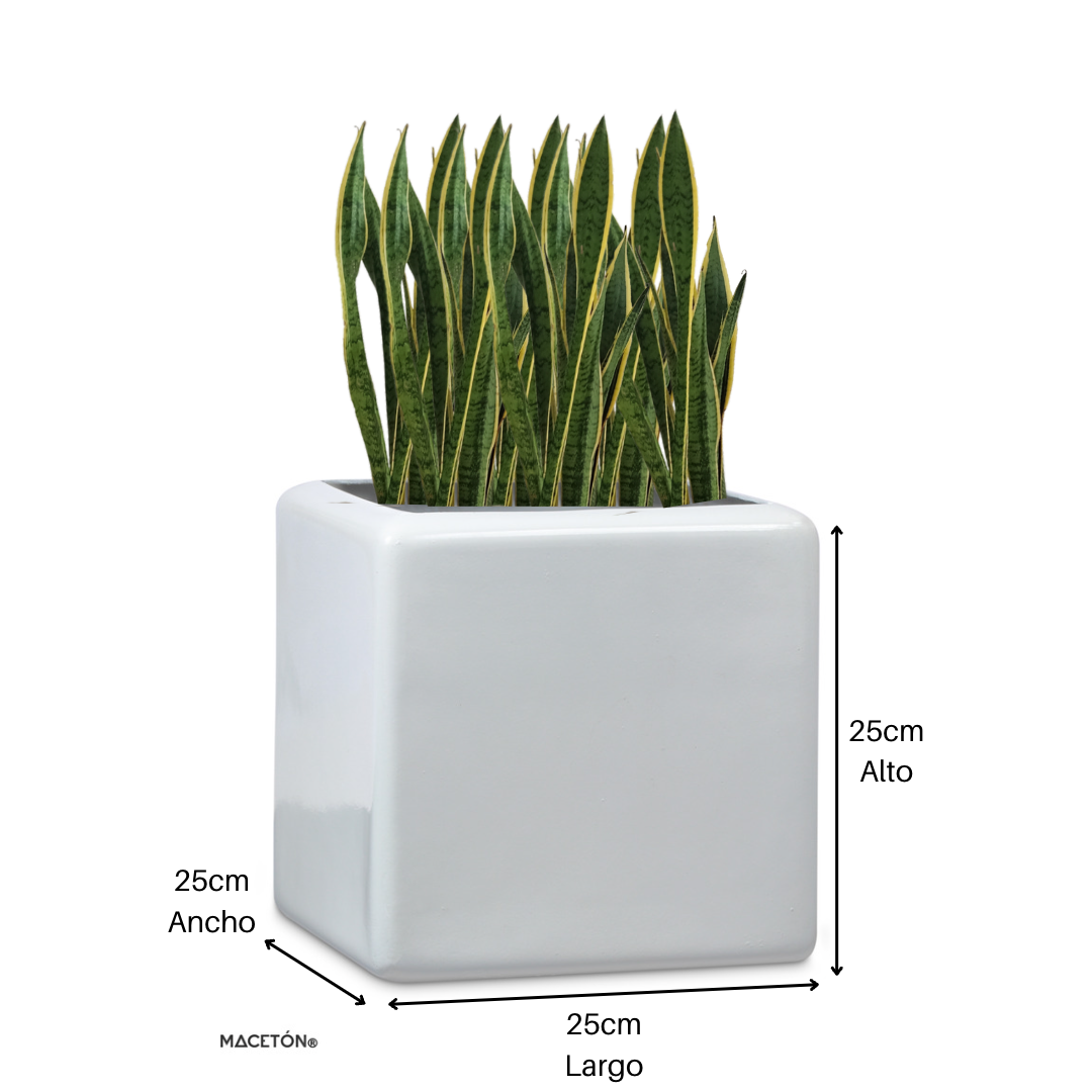 Cubo Fibra de Vidrio Blanco 25x25cm
