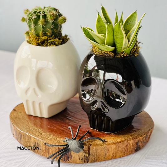 maceteros únicos y originales