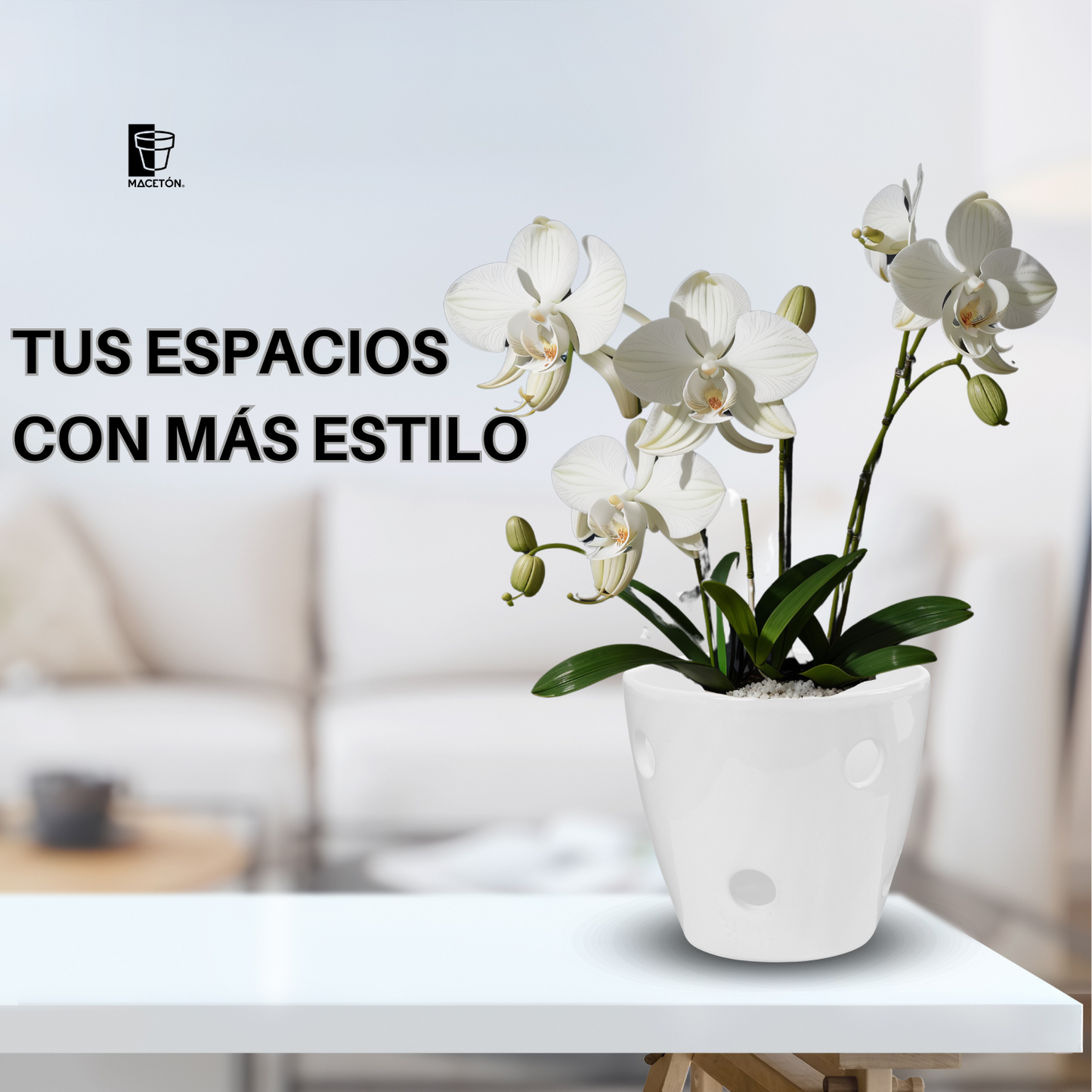 Cono Mediano Calado Blanco