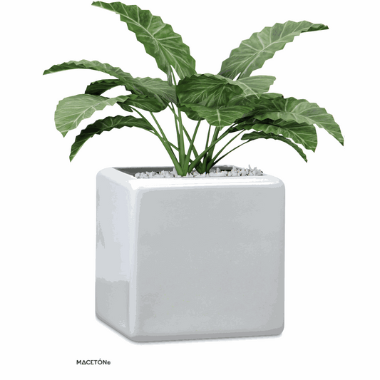 Cubo Fibra de Vidrio