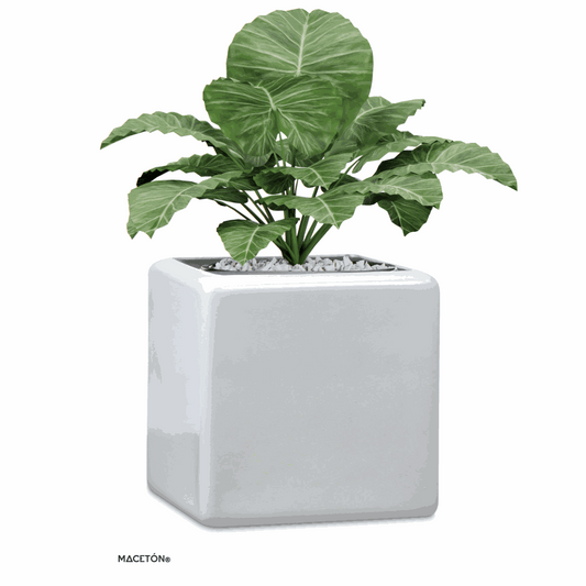 Cubo Fibra de Vidrio