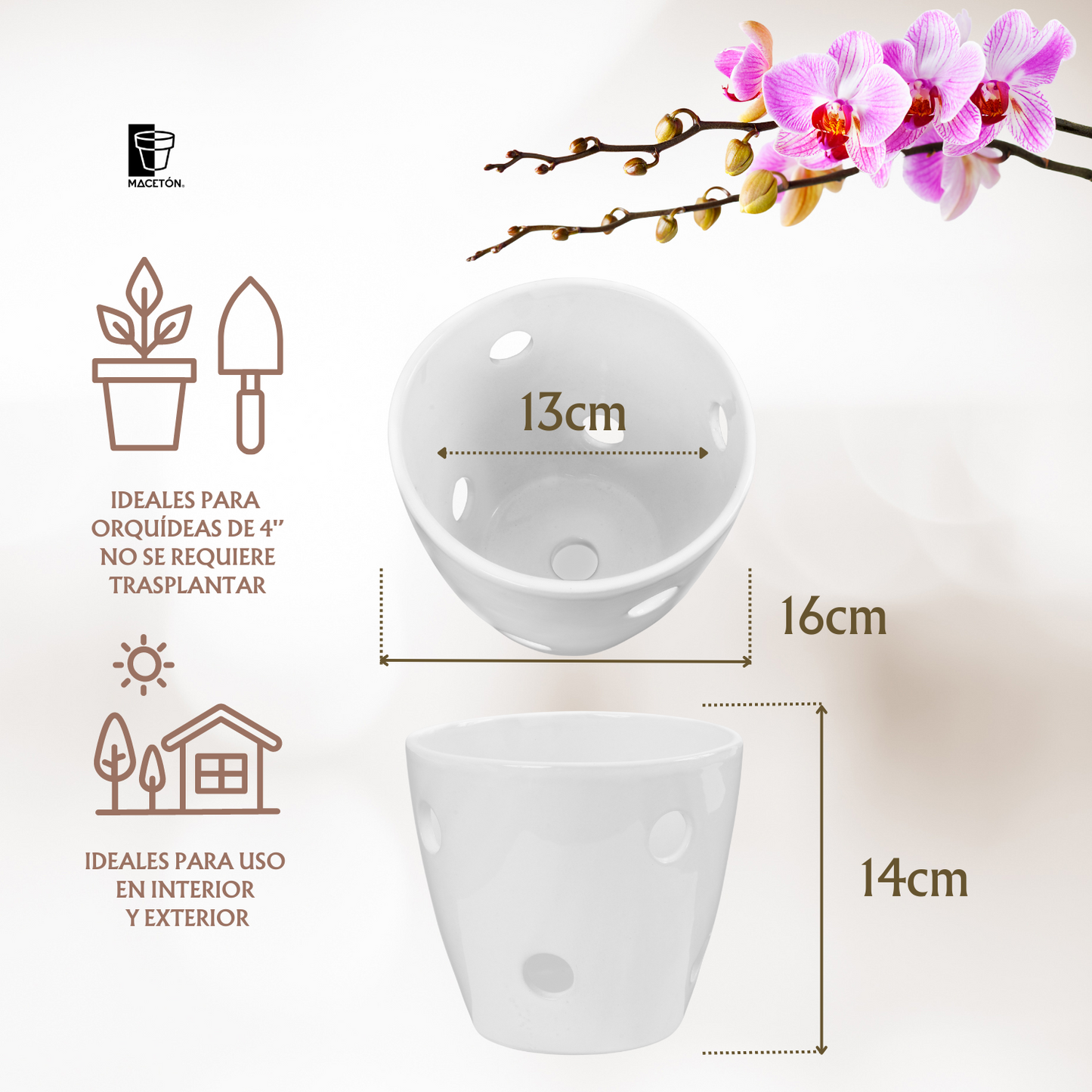 Cono Mediano Calado Blanco