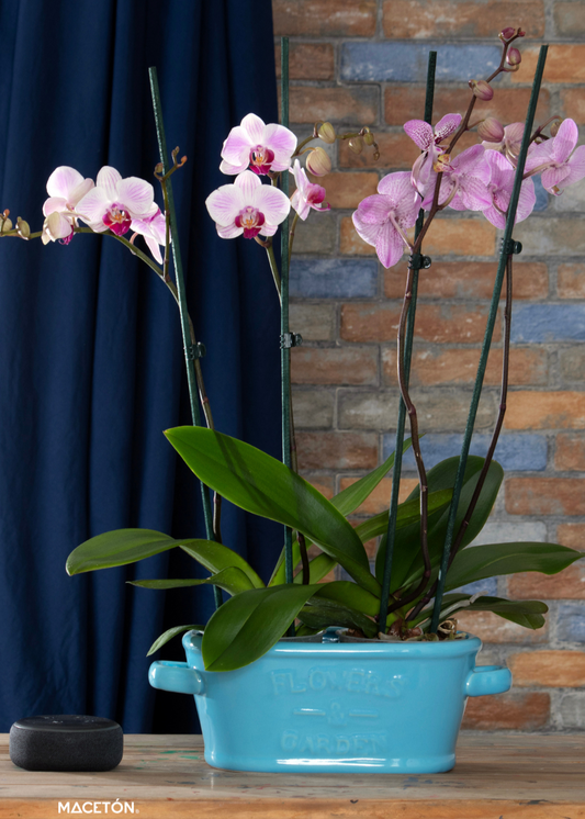 Paquete 9 Tina Con Letras Grande