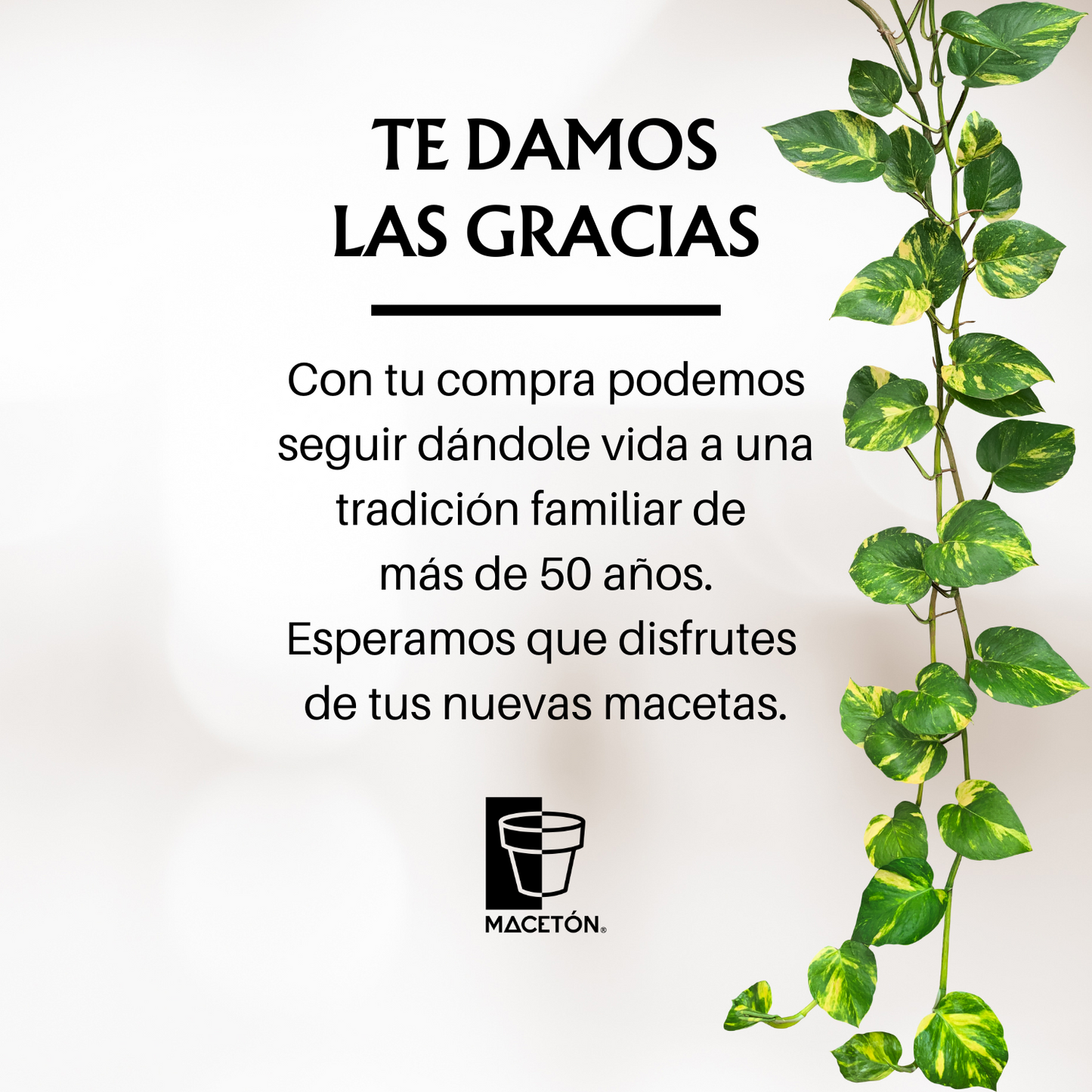 Nido Redondo Mediano Esmalte Blanco