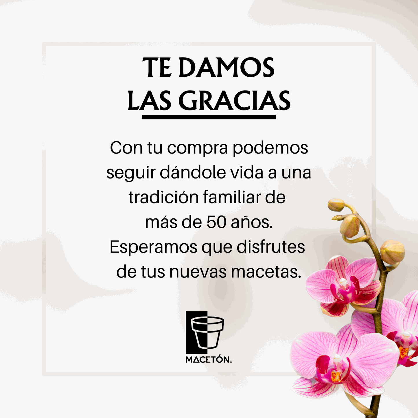 Cilindro para Orquídeas