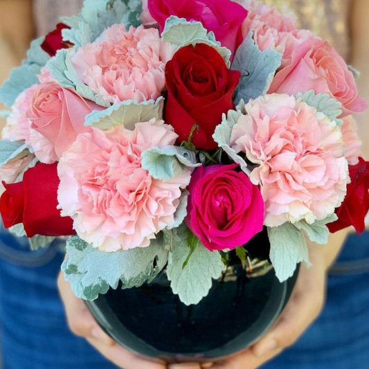 Paquete 6 Pecera Grande Esmalte Negro