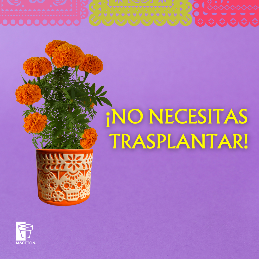 Papel Picado Naranja Día de Muertos