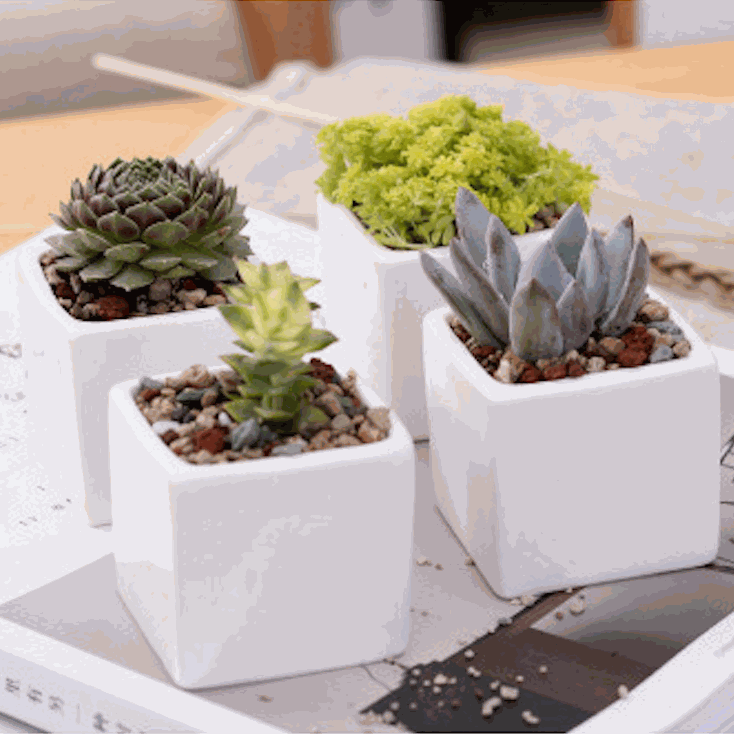 Elmacetas cubo miniatura