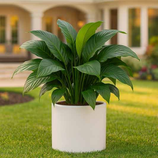 Cilindro Fibra de Vidrio Blanco 50x50cm