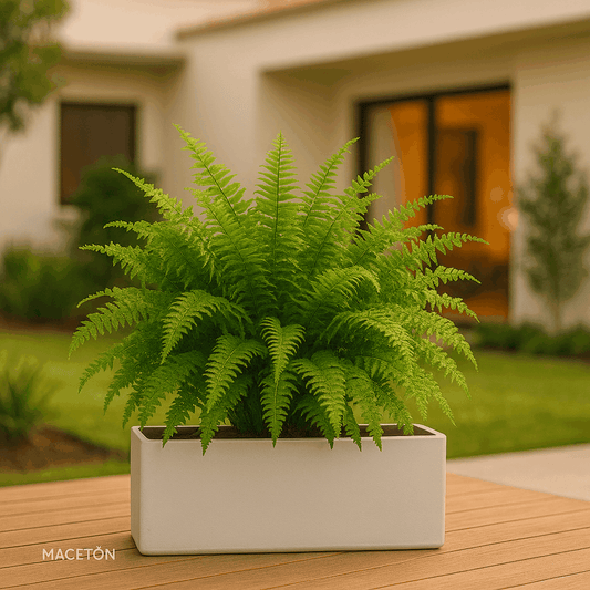 Jardinera Rectangular
