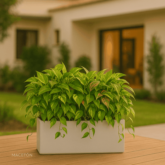 Jardinera Rectangular