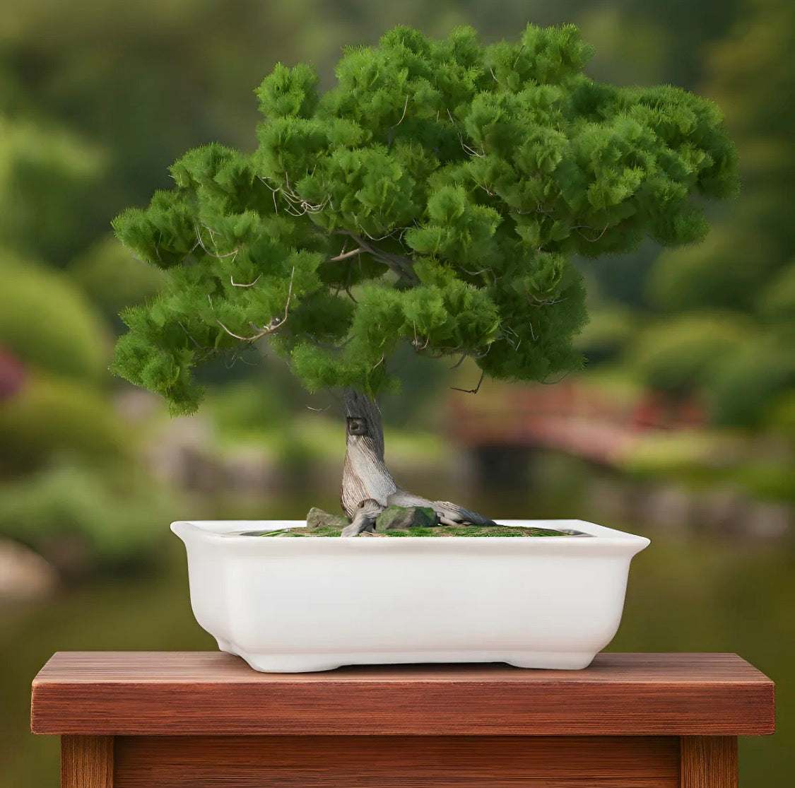 Maceta Cermica Rectangular para Bonsai Diseo Elegante MACETN Macet   maceton.com.mx