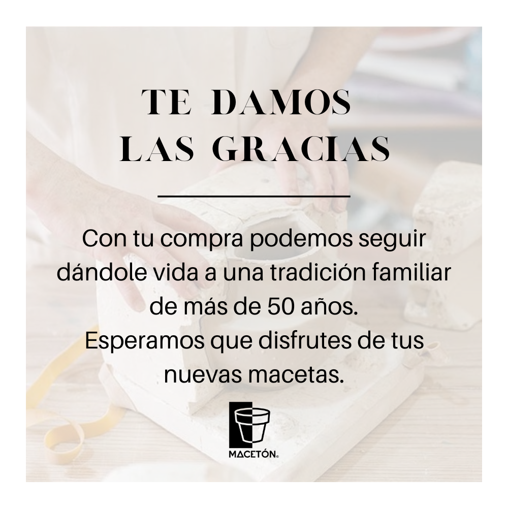 Maceta Cerámica Bonsai #2 Rectangular Esmalte Blanco