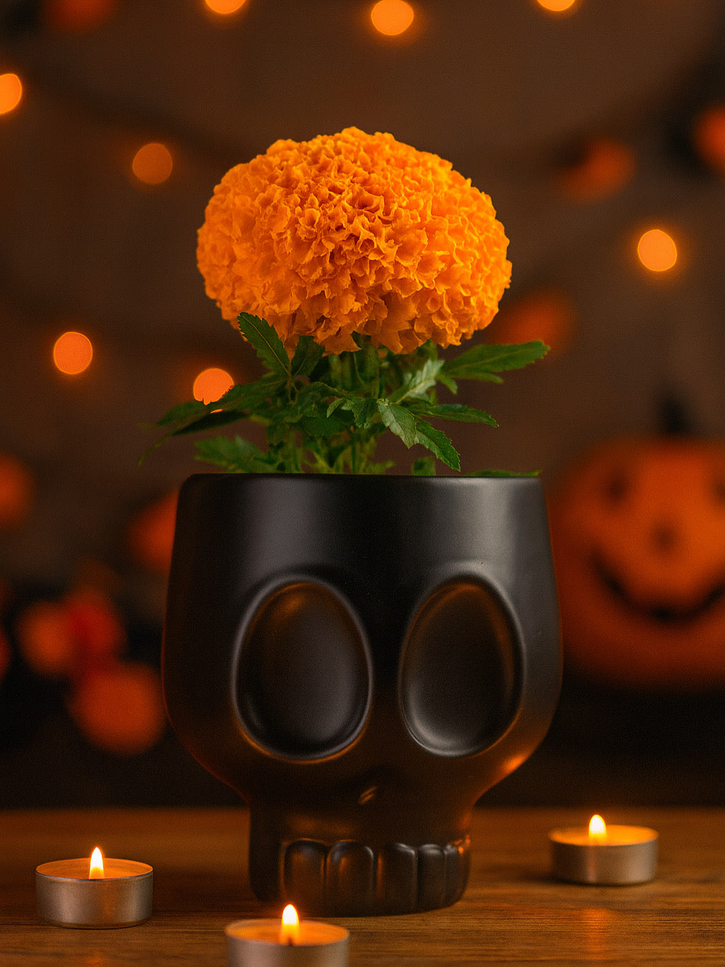 Copa Calavera Negro Mate