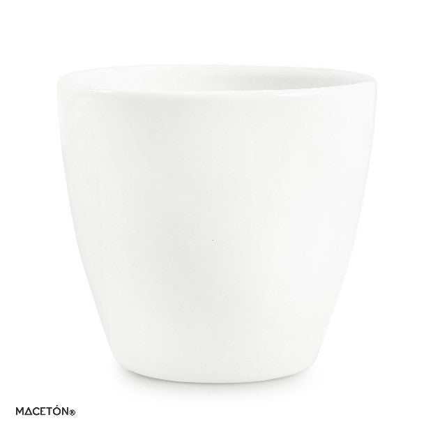 Cono Mediano