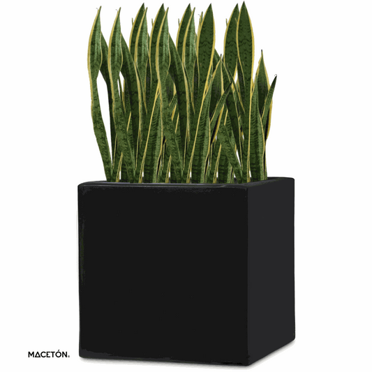 Cubo Fibra De Vidrio