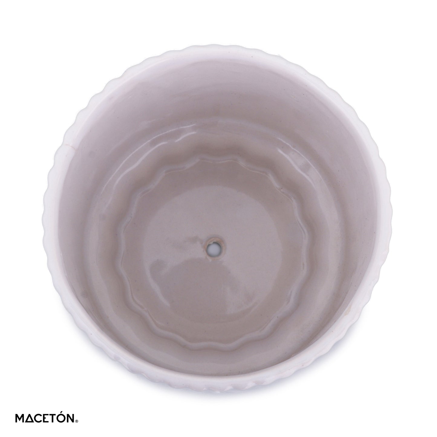 Paquete 12 Base Lili