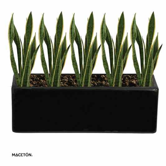 Jardinera Rectangular