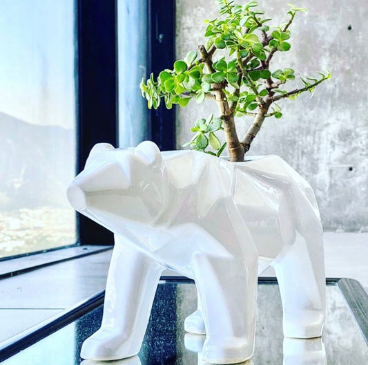 Maceta Oso Geométrico Blanco
