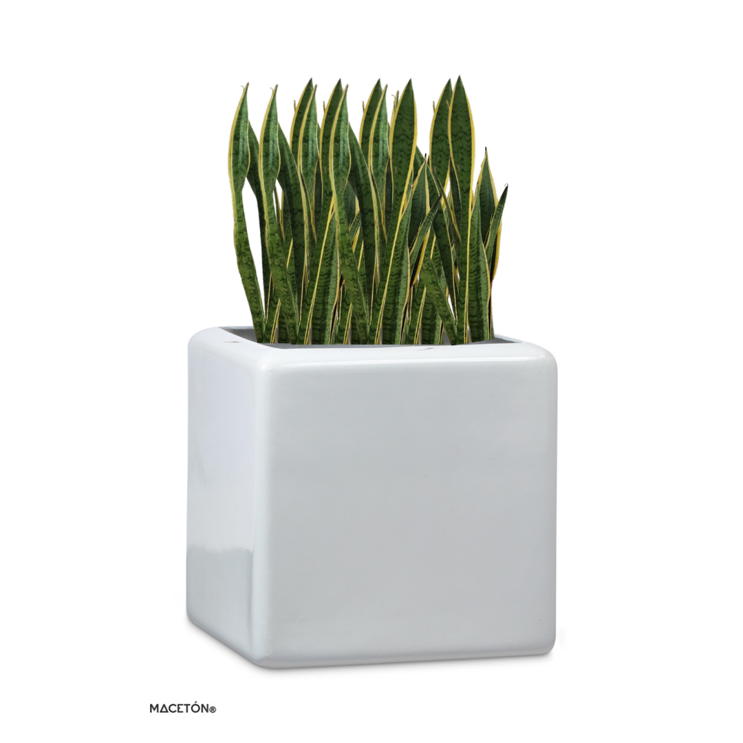 Cubo Fibra de Vidrio Blanco 25x25cm