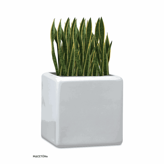 Cubo Fibra de Vidrio