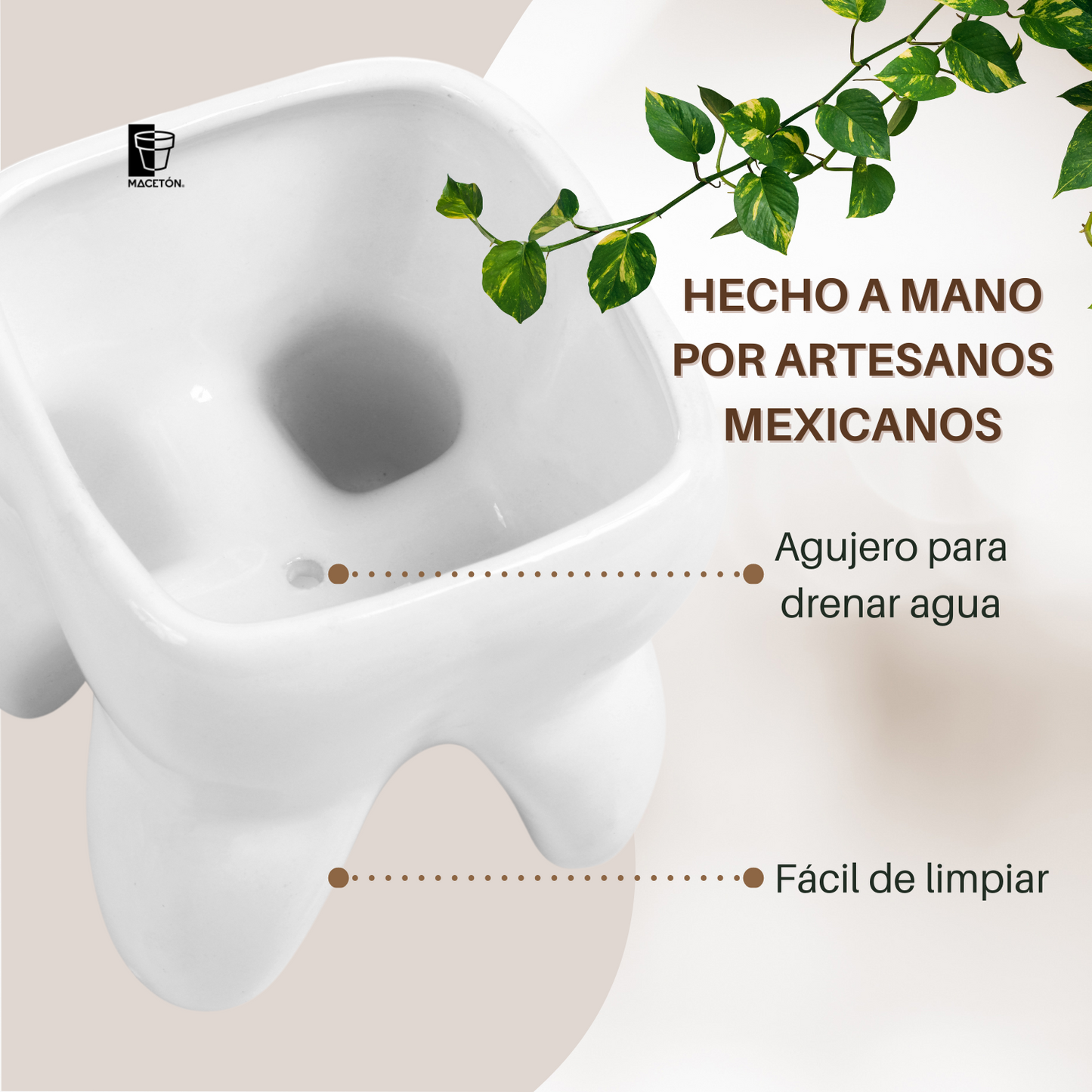 Muela Mediana Esmalte Blanco