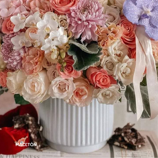 Paquete 12 Base Lili