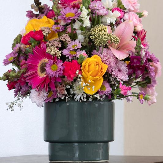 Paquete 12 Base Tubo