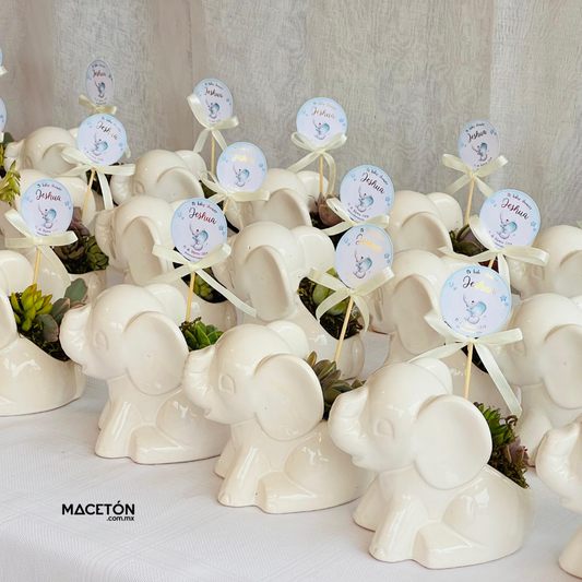 Paquete 40 Mini Macetas Elefantitos Para Recuerdos Baby Shower