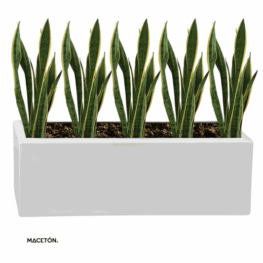 Jardinera Rectangular
