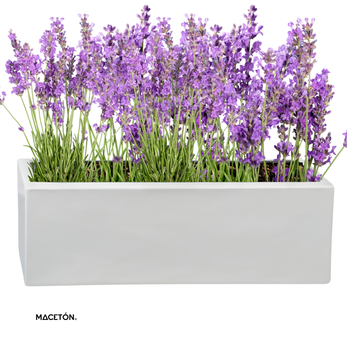 Jardinera Rectangular de Fibra de Vidrio Blanca 100x25x25cm