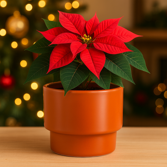 Tubo #2 Mediano Terra Mate