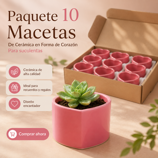 Paquete de 10 macetas con suculentas corazón rosa para decoración natural elegante