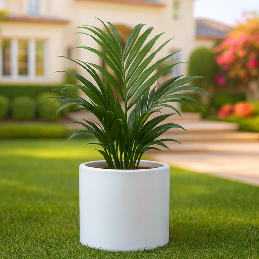 Cilindro Fibra de Vidrio Blanco 25x25cm