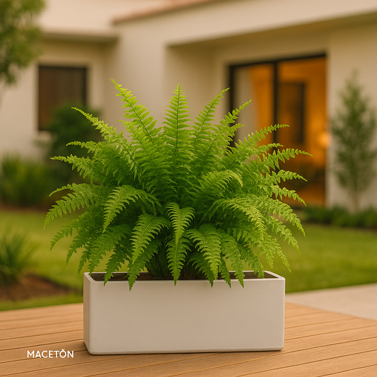 Jardinera Rectangular de Fibra de Vidrio Blanca 80x25x25cm