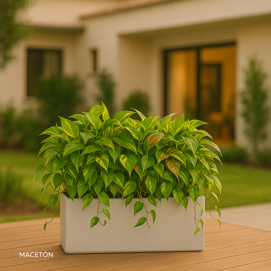 Jardinera Rectangular de Fibra de Vidrio Blanca 100x40x40cm