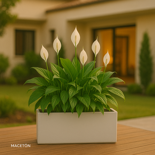 Jardinera Rectangular de Fibra de Vidrio Blanca 120x20x20cm