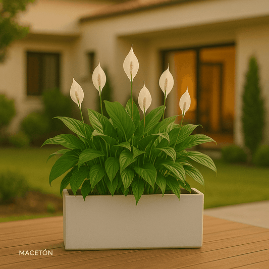 Jardinera Rectangular blanca de fibra de vidrio con plantas verdes y flores blancas elegantes en diseño moderno y resistente.