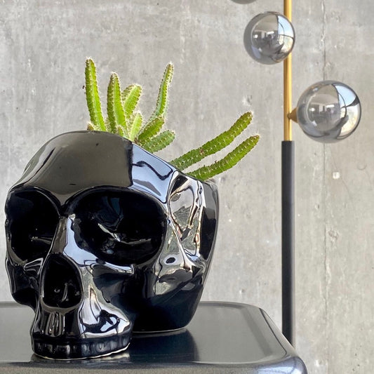 Craneo #3 Grande Negro