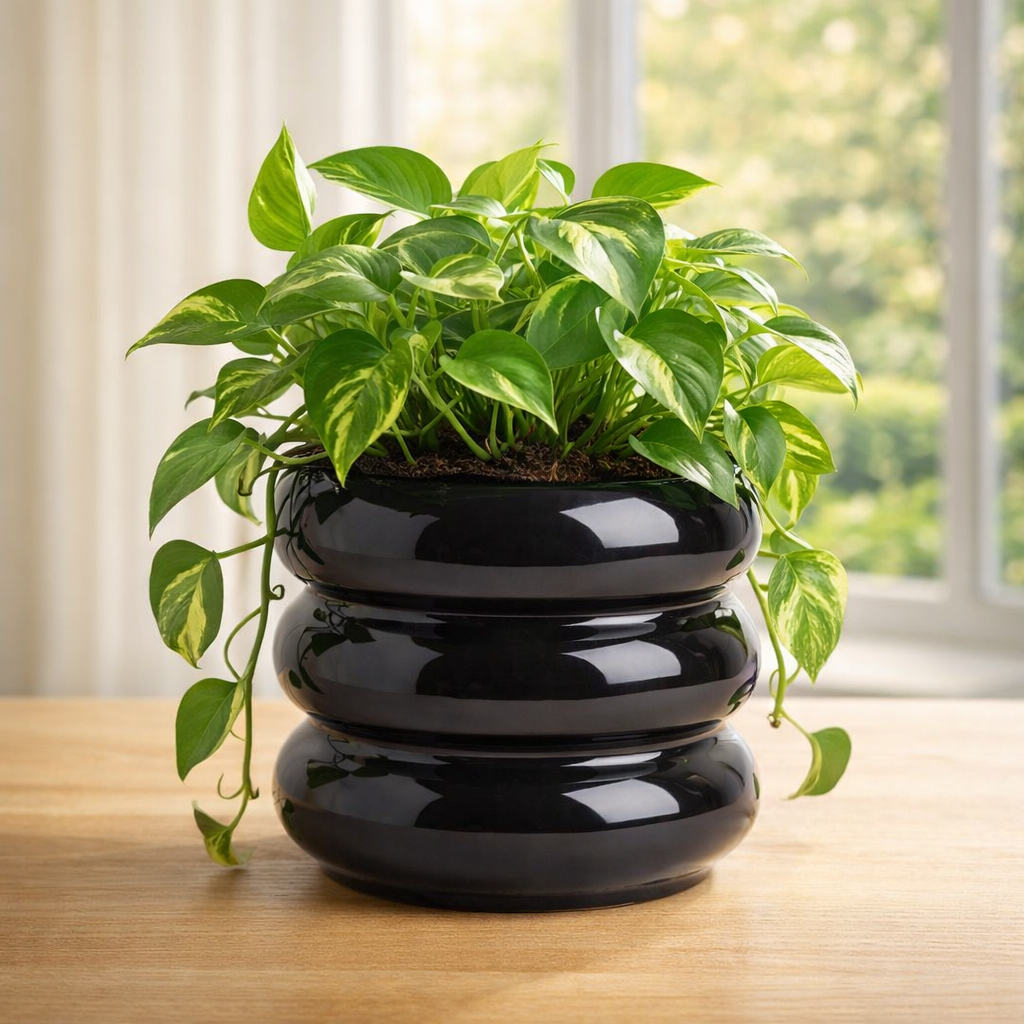 Maceta Michelin 6'' | Maceta de Cerámica Esmaltada con Drenaje