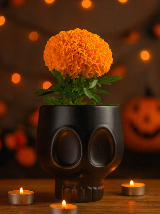 Copa Calavera Negro copa de calavera negra mate de cerámica con diseño gótico moderno