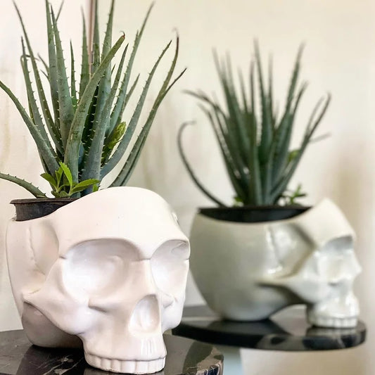 Craneo #3 Grande Blanco