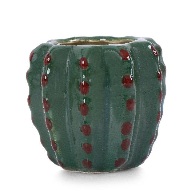 Cactus Esmalte Verde - maceton.com.mx