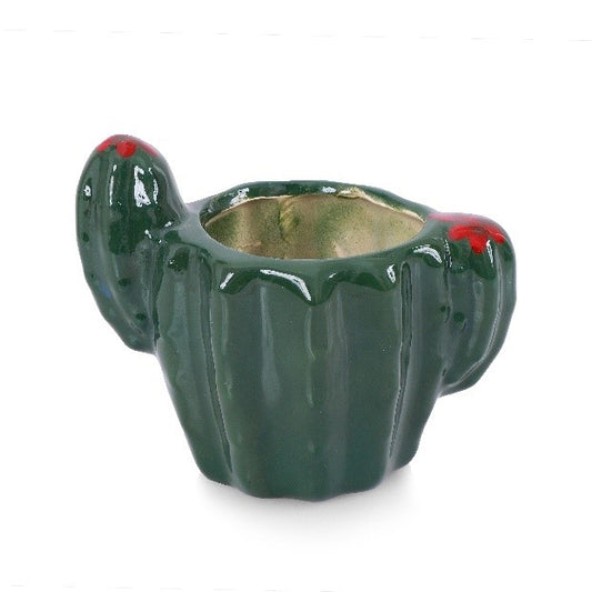 Cactus c/Brazos Esmalte Verde - maceton.com.mx