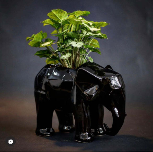 Elefante Geométrico
