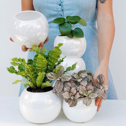 Paquete de 10 Esferas Lisa Esmalte Blanco #5 - maceton.com.mx